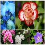 Dịch vụ kế toán tại Quận Dương Kinh tỉnh Hải Phòng 6 Dịch vụ kế toán tại Quận Dương Kinh