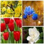 Dịch vụ kế toán tại Quận Ngô Quyền tỉnh Hải Phòng 6 Dịch vụ kế toán tại Quận Ngô Quyền