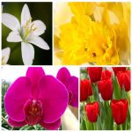 Dịch vụ kế toán tại Thành Phố Hà Nội tỉnh Hà Nội 6 Dịch vụ kế toán tại Thành Phố Hà Nội