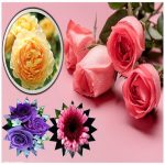 Cần làm phù hiệu xe tải tại Bắc Kạn nhanh nhất chỉ 3 ngày