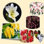 Cần làm phù hiệu xe tải tại Cao Bằng nhanh nhất chỉ 3 ngày