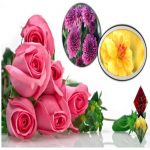 Cần làm phù hiệu xe tải tại Ninh Bình nhanh nhất chỉ 3 ngày
