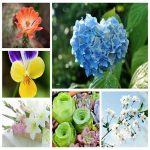 Dịch vụ thay đổi địa chỉ công ty tại Cần Thơ 6 Muốn thay đổi địa chỉ công ty tại Cần Thơ
