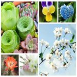 Dịch vụ thay đổi địa chỉ công ty tại Đà Nẵng 6 Muốn thay đổi địa chỉ công ty tại Đà Nẵng
