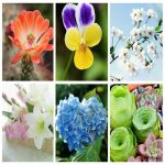 Dịch vụ thay đổi địa chỉ công ty tại Phú Thọ 6 Muốn thay đổi địa chỉ công ty tại Phú Thọ