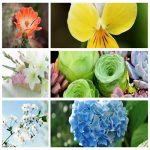 Dịch vụ thay đổi địa chỉ công ty tại Thành phố Đà Nẵng 6 Muốn thay đổi địa chỉ công ty tại Thành phố Đà Nẵng
