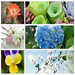 Dịch vụ thay đổi địa chỉ công ty tại Thành phố Hải Phòng 6 Muốn thay đổi địa chỉ công ty tại Thành phố Hải Phòng