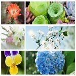 Dịch vụ thay đổi địa chỉ công ty tại TP Hải Phòng 6 Muốn thay đổi địa chỉ công ty tại TP Hải Phòng