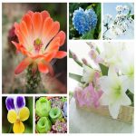 Dịch vụ thay đổi địa chỉ công ty tại Tuyên Quang 6 Muốn thay đổi địa chỉ công ty tại Tuyên Quang