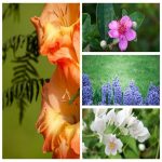 Thủ tục đăng ký giấy phép kinh doanh tại Huyện Đông Anh 6 Muốn đăng ký giấy phép kinh doanh tại Huyện Đông Anh