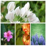 Thủ tục đăng ký giấy phép kinh doanh tại Thị xã Sơn Tây 6 Muốn đăng ký giấy phép kinh doanh tại Thị xã Sơn Tây