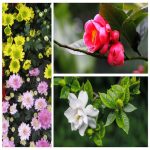 Dịch vụ thay đổi loại hình doanh nghiệp tại Bắc Giang 6 Muốn thay đổi loại hình doanh nghiệp tại Bắc Giang