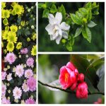 Dịch vụ thay đổi loại hình doanh nghiệp tại Bắc Kạn 6 Muốn thay đổi loại hình doanh nghiệp tại Bắc Kạn