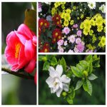 Dịch vụ thay đổi loại hình doanh nghiệp tại Bắc Ninh 6 Muốn thay đổi loại hình doanh nghiệp tại Bắc Ninh