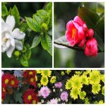 Dịch vụ thay đổi loại hình doanh nghiệp tại Bình Định 6 Muốn thay đổi loại hình doanh nghiệp tại Bình Định