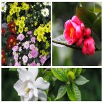 Dịch vụ thay đổi loại hình doanh nghiệp tại Bình Thuận 6 Muốn thay đổi loại hình doanh nghiệp tại Bình Thuận