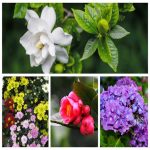 Dịch vụ thay đổi loại hình doanh nghiệp tại Cần Thơ 6 Muốn thay đổi loại hình doanh nghiệp tại Cần Thơ
