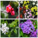 Dịch vụ thay đổi loại hình doanh nghiệp tại Cao Bằng 6 Muốn thay đổi loại hình doanh nghiệp tại Cao Bằng