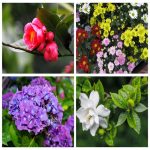 Dịch vụ thay đổi loại hình doanh nghiệp tại Điện Biên 6 Muốn thay đổi loại hình doanh nghiệp tại Điện Biên