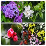 Dịch vụ thay đổi loại hình doanh nghiệp tại Gia Lai 6 Muốn thay đổi loại hình doanh nghiệp tại Gia Lai