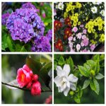 Dịch vụ thay đổi loại hình doanh nghiệp tại Hà Giang 6 Muốn thay đổi loại hình doanh nghiệp tại Hà Giang