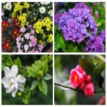 Dịch vụ thay đổi loại hình doanh nghiệp tại Hà Nam 6 Muốn thay đổi loại hình doanh nghiệp tại Hà Nam