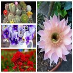 Muốn thay đổi loại hình doanh nghiệp tại Hà Nội