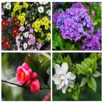 Dịch vụ thay đổi loại hình doanh nghiệp tại Hà Tĩnh 6 Muốn thay đổi loại hình doanh nghiệp tại Hà Tĩnh