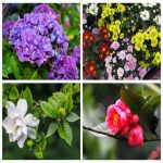 Dịch vụ thay đổi loại hình doanh nghiệp tại Hải Dương 14 Muốn thay đổi loại hình doanh nghiệp tại Hải Dương