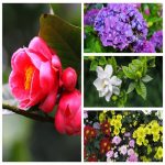Dịch vụ thay đổi loại hình doanh nghiệp tại Huế 6 Muốn thay đổi loại hình doanh nghiệp tại Huế