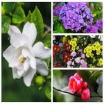 Dịch vụ thay đổi loại hình doanh nghiệp tại Hưng Yên 6 Muốn thay đổi loại hình doanh nghiệp tại Hưng Yên