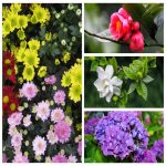 Dịch vụ thay đổi loại hình doanh nghiệp tại Kon Tum 6 Muốn thay đổi loại hình doanh nghiệp tại Kon Tum