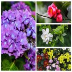 Dịch vụ thay đổi loại hình doanh nghiệp tại Lai Châu 6 Muốn thay đổi loại hình doanh nghiệp tại Lai Châu