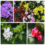 Dịch vụ thay đổi loại hình doanh nghiệp tại Nam Định 6 Muốn thay đổi loại hình doanh nghiệp tại Nam Định