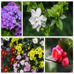 Dịch vụ thay đổi loại hình doanh nghiệp tại Nha Trang 6 Muốn thay đổi loại hình doanh nghiệp tại Nha Trang