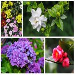 Dịch vụ thay đổi loại hình doanh nghiệp tại Ninh Bình 6 Muốn thay đổi loại hình doanh nghiệp tại Ninh Bình