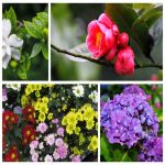 Dịch vụ thay đổi loại hình doanh nghiệp tại Phú Thọ 6 Muốn thay đổi loại hình doanh nghiệp tại Phú Thọ