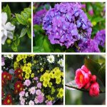 Dịch vụ thay đổi loại hình doanh nghiệp tại Phú Yên 6 Muốn thay đổi loại hình doanh nghiệp tại Phú Yên