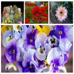 Dịch vụ thay đổi loại hình doanh nghiệp tại Quận 10 6 Muốn thay đổi loại hình doanh nghiệp tại Quận 10