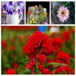 Dịch vụ thay đổi loại hình doanh nghiệp tại Quận 2 6 Muốn thay đổi loại hình doanh nghiệp tại Quận 2