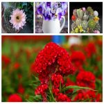 Dịch vụ thay đổi loại hình doanh nghiệp tại Quận 4 – Nhanh chóng, đúng luật 6 Muốn thay đổi loại hình doanh nghiệp tại Quận 4