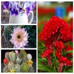 Dịch vụ thay đổi loại hình doanh nghiệp tại Quận Gò Vấp 6 Muốn thay đổi loại hình doanh nghiệp tại Quận Gò Vấp