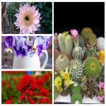 Dịch vụ thay đổi loại hình doanh nghiệp tại Quận Tân Bình 6 Muốn thay đổi loại hình doanh nghiệp tại Quận Tân Bình