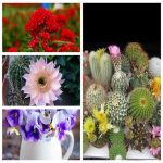Dịch vụ thay đổi loại hình doanh nghiệp tại Quận Thủ Đức 6 Muốn thay đổi loại hình doanh nghiệp tại Quận Thủ Đức