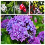 Dịch vụ thay đổi loại hình doanh nghiệp tại Quảng Ninh 6 Muốn thay đổi loại hình doanh nghiệp tại Quảng Ninh
