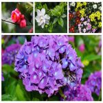 Dịch vụ thay đổi loại hình doanh nghiệp tại Quảng Trị 6 Muốn thay đổi loại hình doanh nghiệp tại Quảng Trị