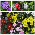 Dịch vụ thay đổi loại hình doanh nghiệp tại Tây Ninh 6 Muốn thay đổi loại hình doanh nghiệp tại Tây Ninh