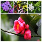 Dịch vụ thay đổi loại hình doanh nghiệp tại Thái Bình 6 Muốn thay đổi loại hình doanh nghiệp tại Thái Bình