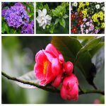 Dịch vụ thay đổi loại hình doanh nghiệp tại Thái Nguyên 6 Muốn thay đổi loại hình doanh nghiệp tại Thái Nguyên