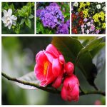 Dịch vụ thay đổi loại hình doanh nghiệp tại Thanh Hóa 6 Muốn thay đổi loại hình doanh nghiệp tại Thanh Hóa
